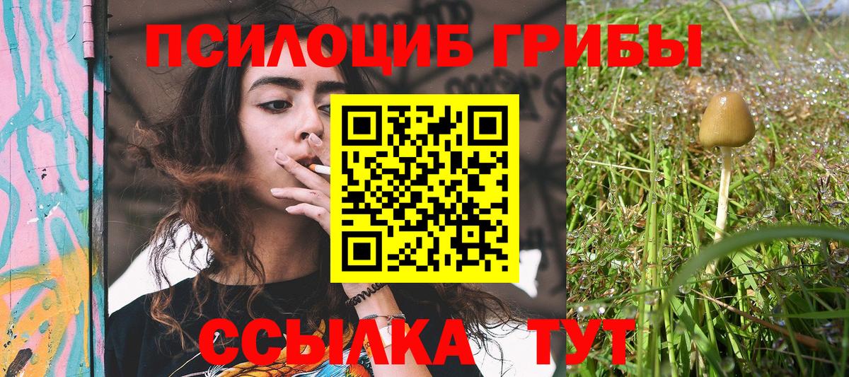 Галлюциногенные грибы Psilocybine cubensis  Псилоцибиновые грибы Psilocybe  купить наркотик  Вход с VPN  Краснотурьинск 